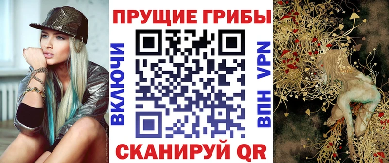 Галлюциногенные грибы мицелий  МЕГА как войти  Катав-Ивановск 